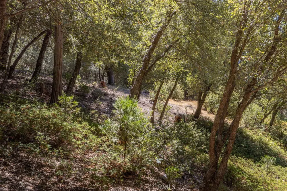 8 Cedar Vista Circle Bass Lake, CA 93604