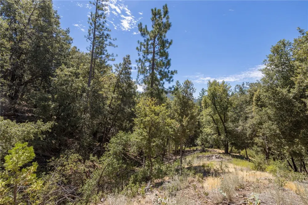 8 Cedar Vista Circle Bass Lake, CA 93604