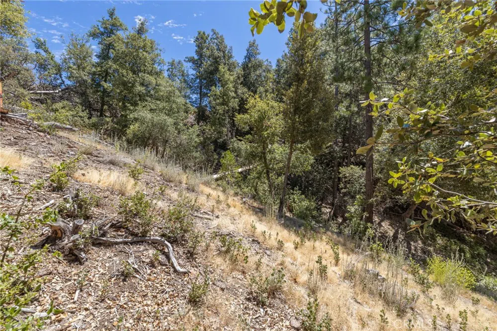 8 Cedar Vista Circle Bass Lake, CA 93604