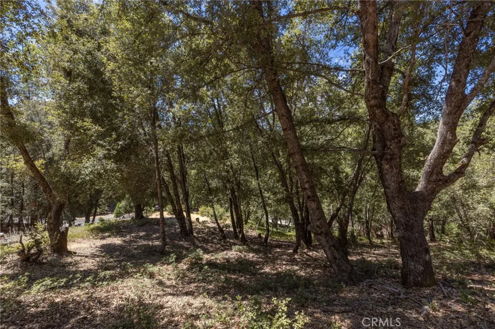 8 Cedar Vista Circle Bass Lake, CA 93604
