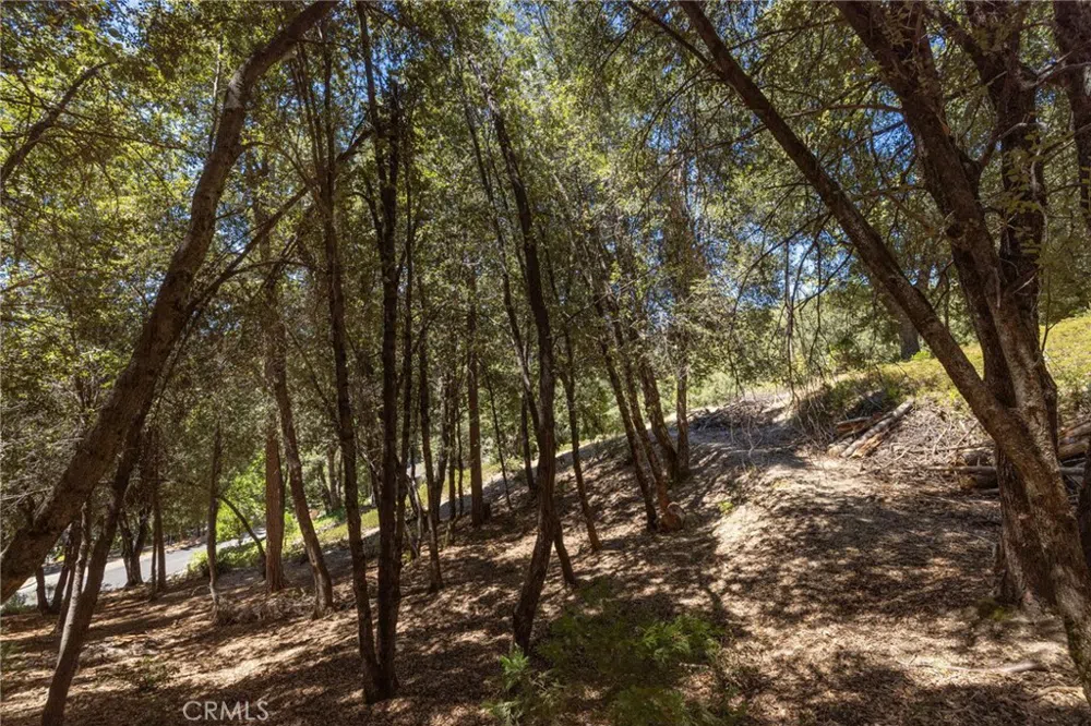 8 Cedar Vista Circle Bass Lake, CA 93604
