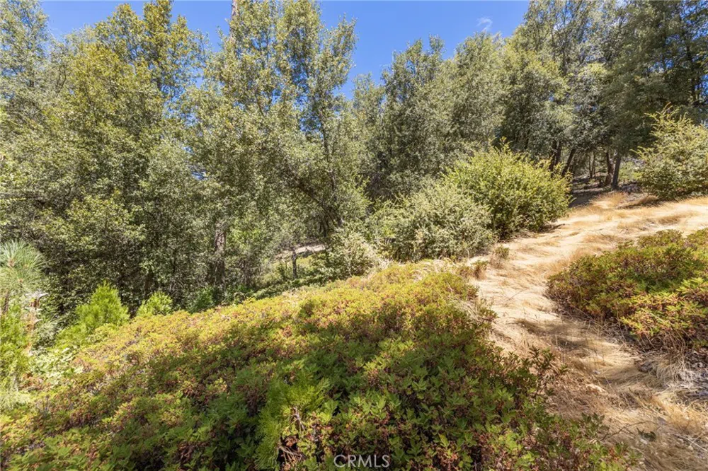 8 Cedar Vista Circle Bass Lake, CA 93604