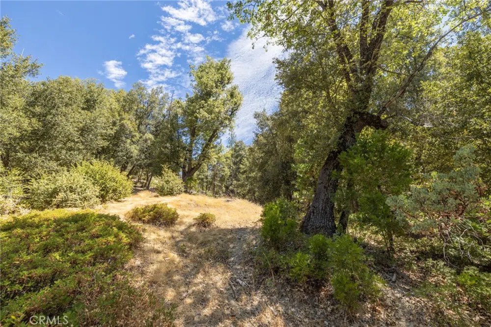 8 Cedar Vista Circle Bass Lake, CA 93604