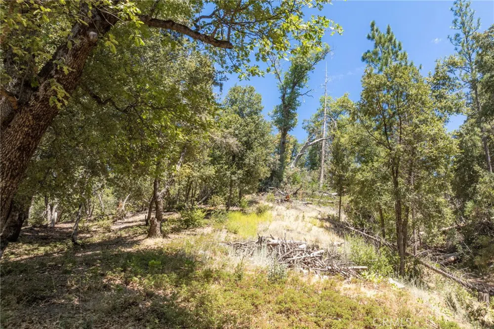 8 Cedar Vista Circle Bass Lake, CA 93604