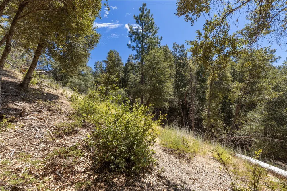 8 Cedar Vista Circle Bass Lake, CA 93604