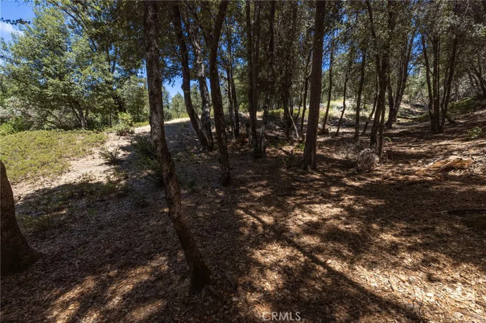 8 Cedar Vista Circle Bass Lake, CA 93604