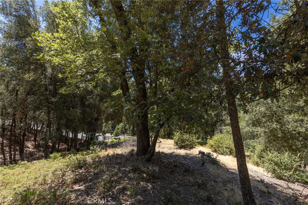 8 Cedar Vista Circle Bass Lake, CA 93604