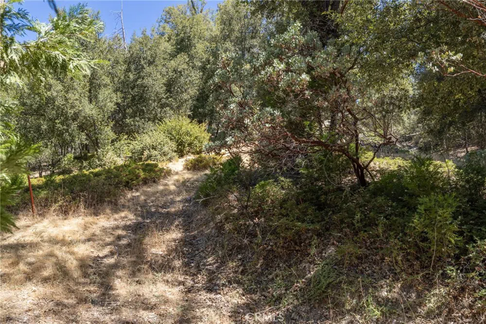 8 Cedar Vista Circle Bass Lake, CA 93604