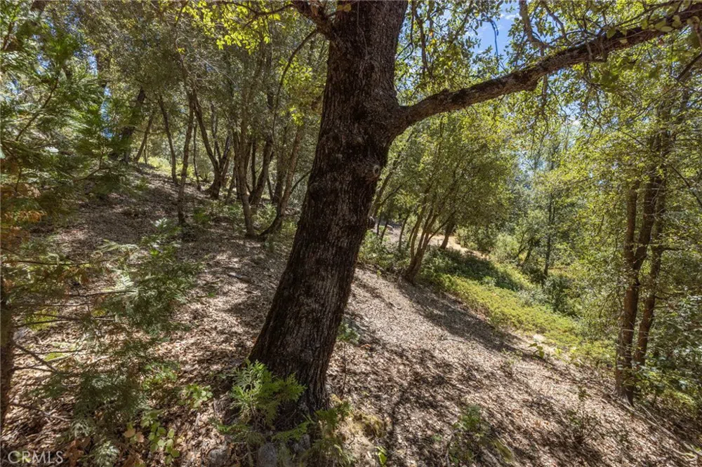 8 Cedar Vista Circle Bass Lake, CA 93604