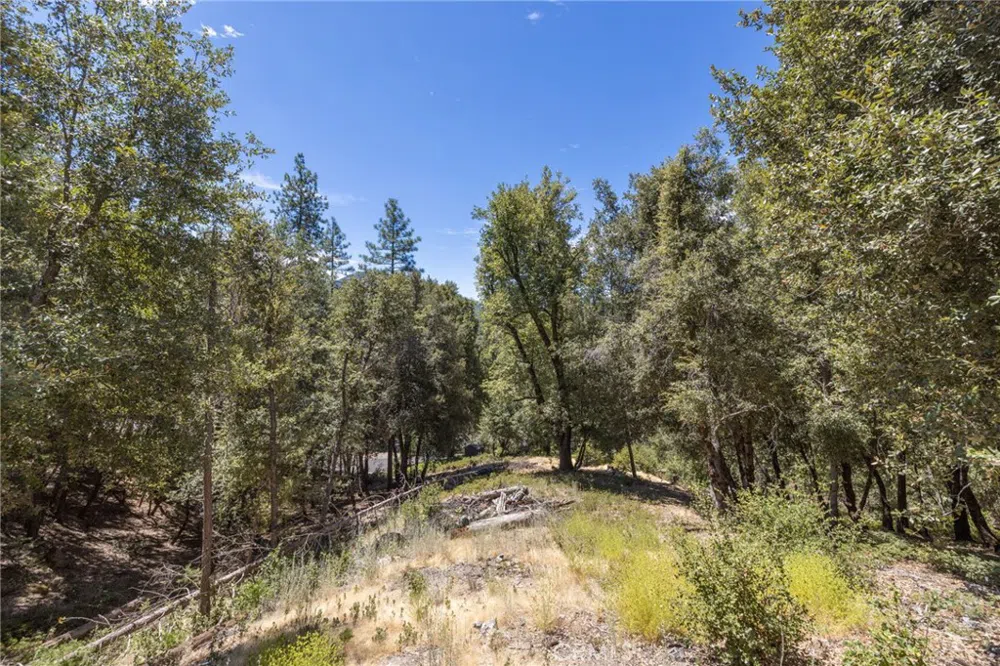 8 Cedar Vista Circle Bass Lake, CA 93604