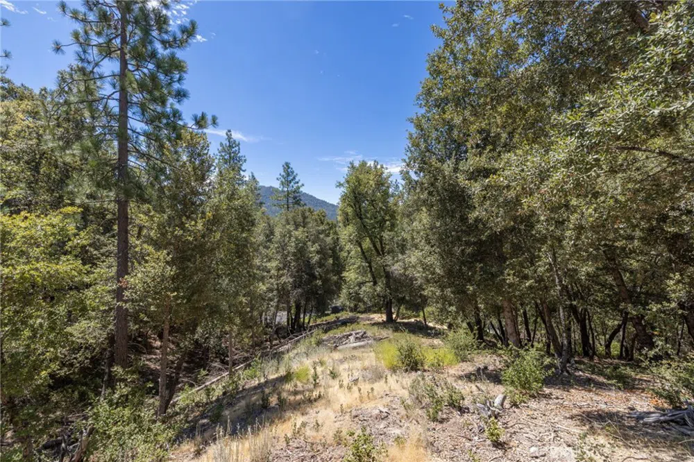 8 Cedar Vista Circle Bass Lake, CA 93604