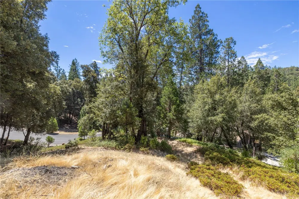 8 Cedar Vista Circle Bass Lake, CA 93604