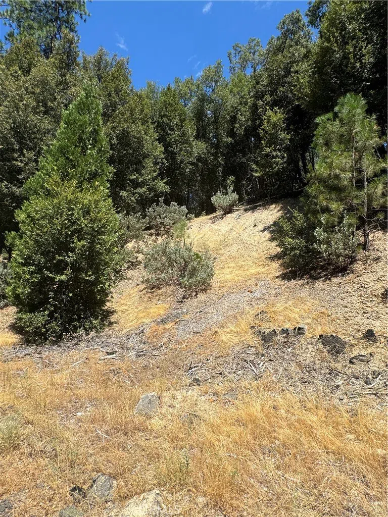 8 Cedar Vista Circle Bass Lake, CA 93604