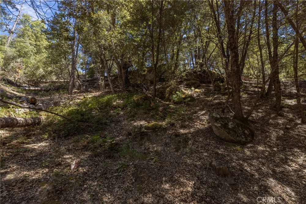 8 Cedar Vista Circle Bass Lake, CA 93604