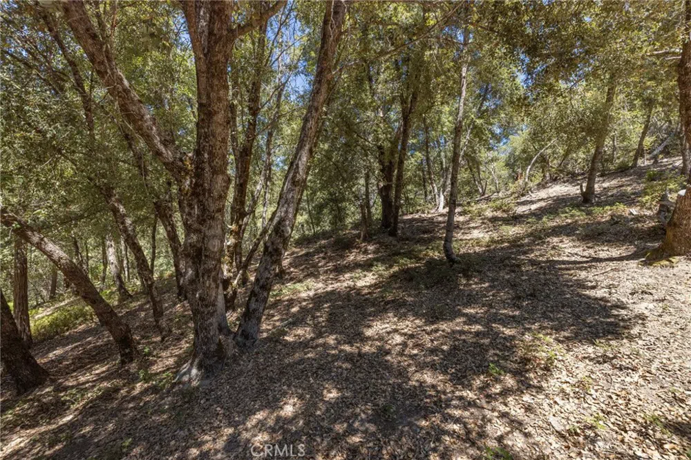8 Cedar Vista Circle Bass Lake, CA 93604