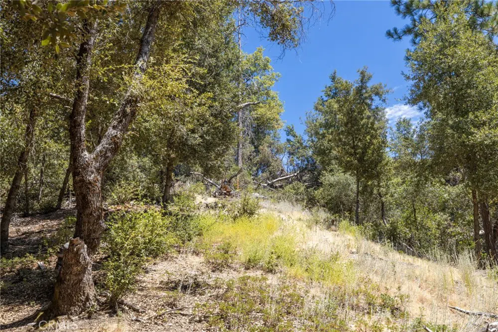 8 Cedar Vista Circle Bass Lake, CA 93604