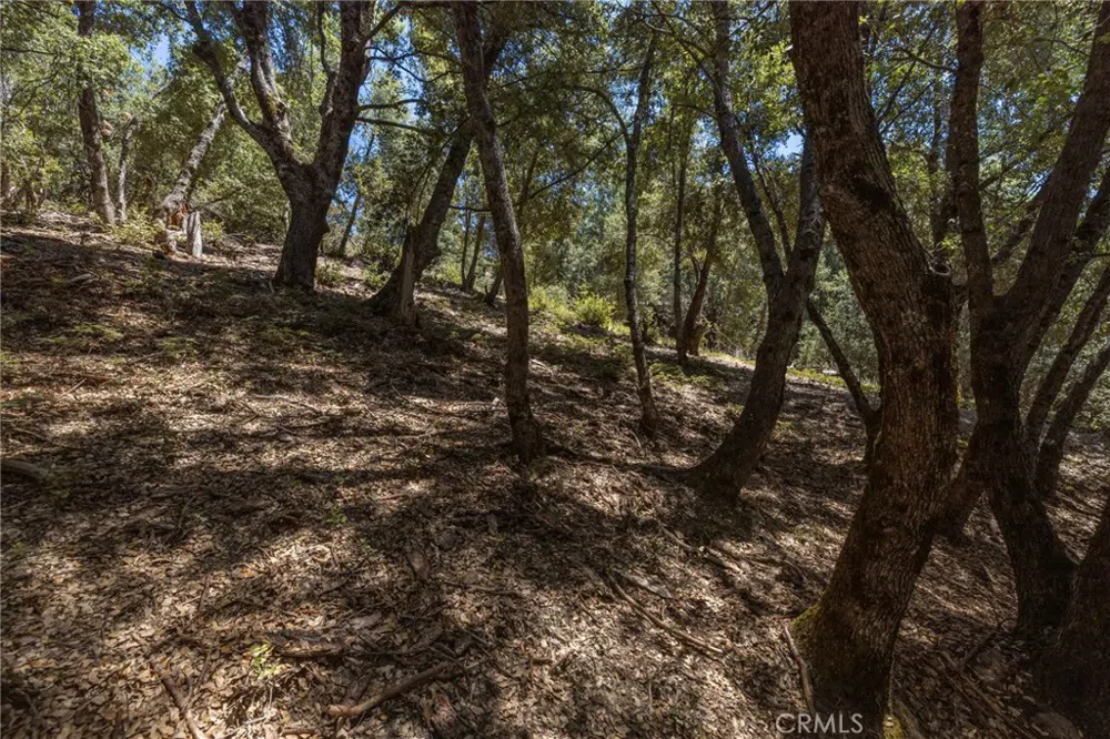 8 Cedar Vista Circle Bass Lake, CA 93604