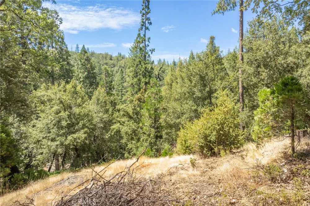 8 Cedar Vista Circle Bass Lake, CA 93604