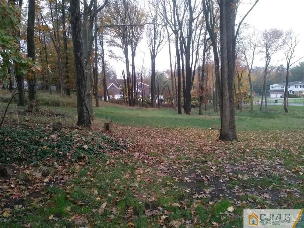 14 Parson Place Colonia, NJ 07067