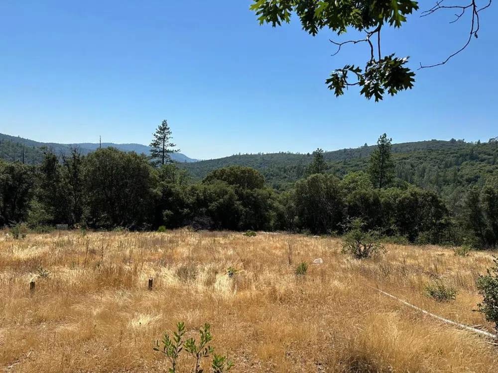 W Laikam Lane Twain Harte, CA 95383