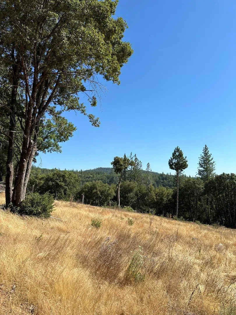 W Laikam Lane Twain Harte, CA 95383