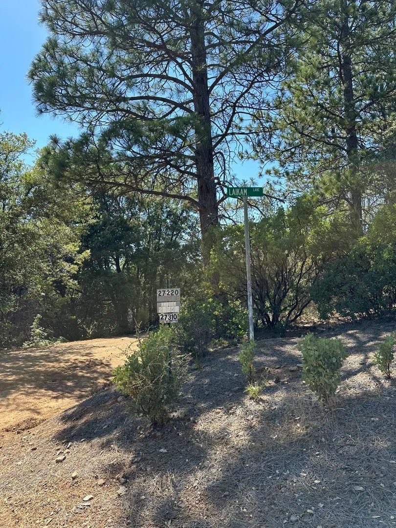 W Laikam Lane Twain Harte, CA 95383