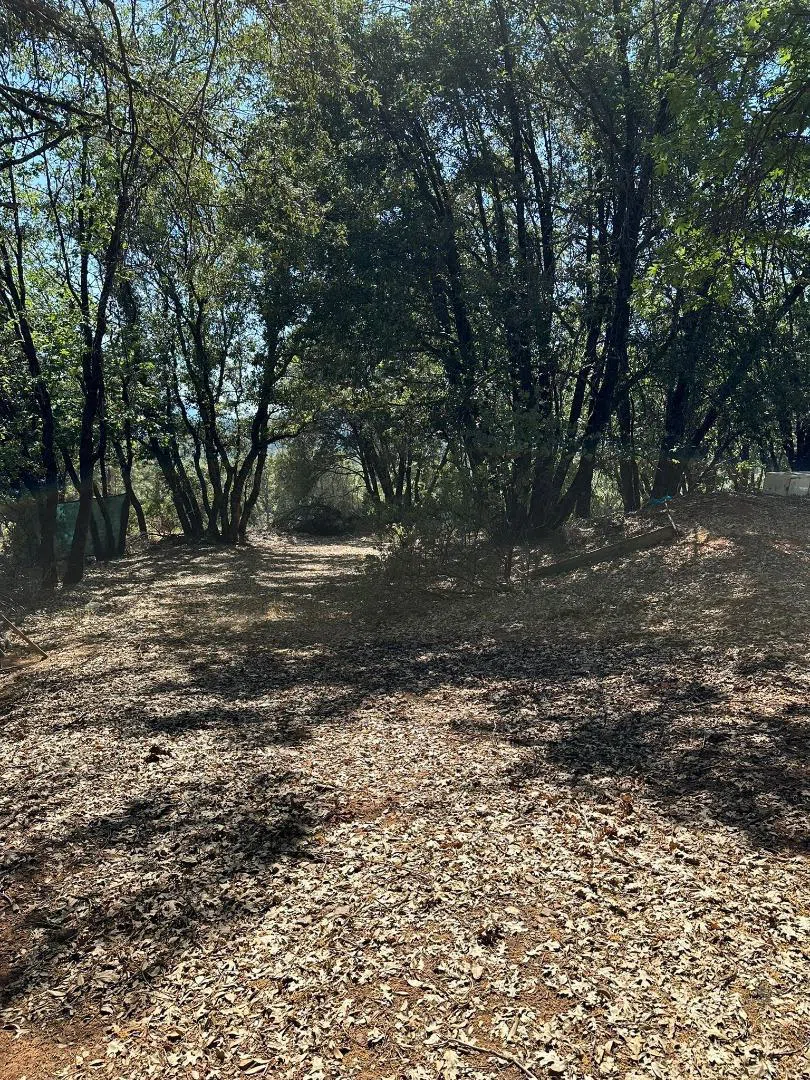 W Laikam Lane Twain Harte, CA 95383