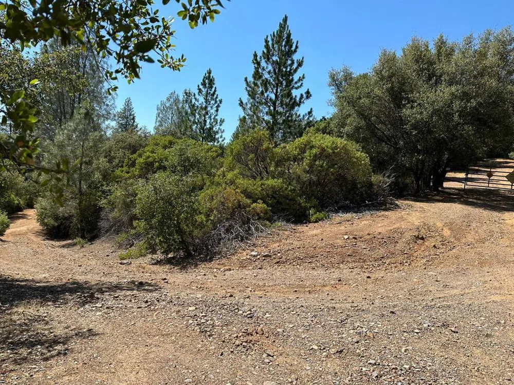 W Laikam Lane Twain Harte, CA 95383