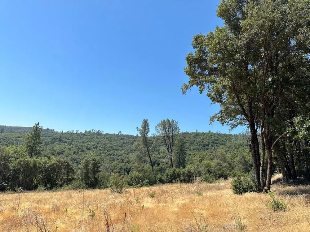 W Laikam Lane Twain Harte, CA 95383