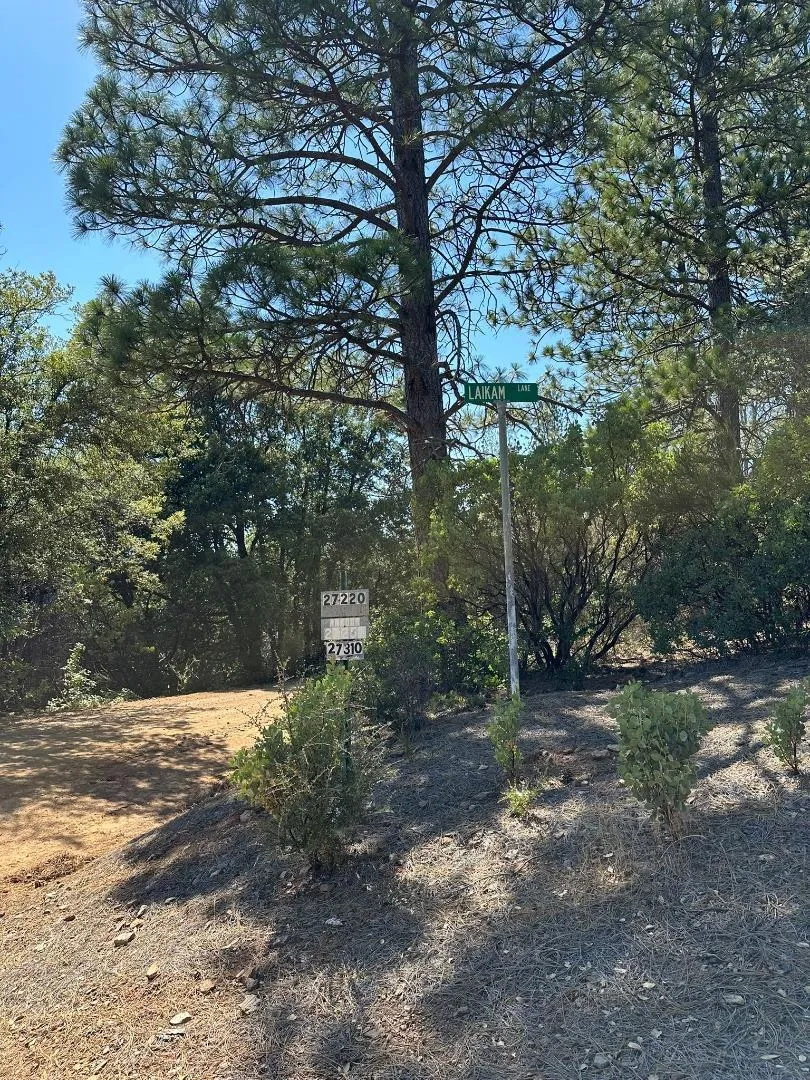 W Laikam Lane Twain Harte, CA 95383