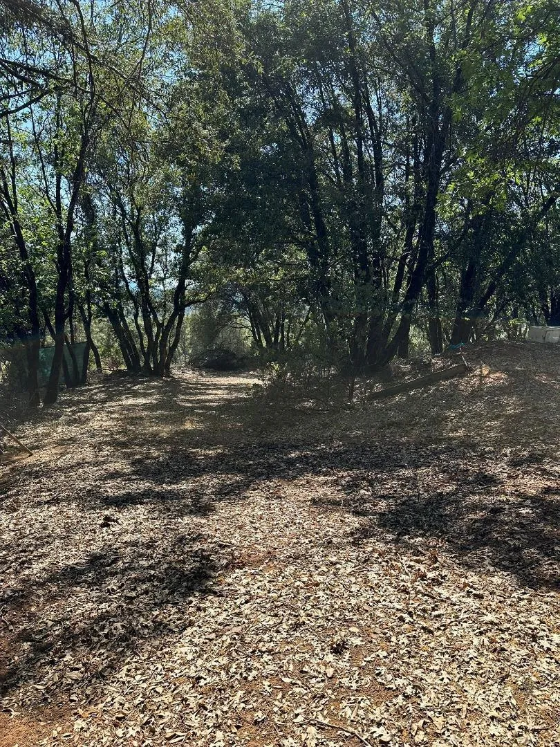 W Laikam Lane Twain Harte, CA 95383