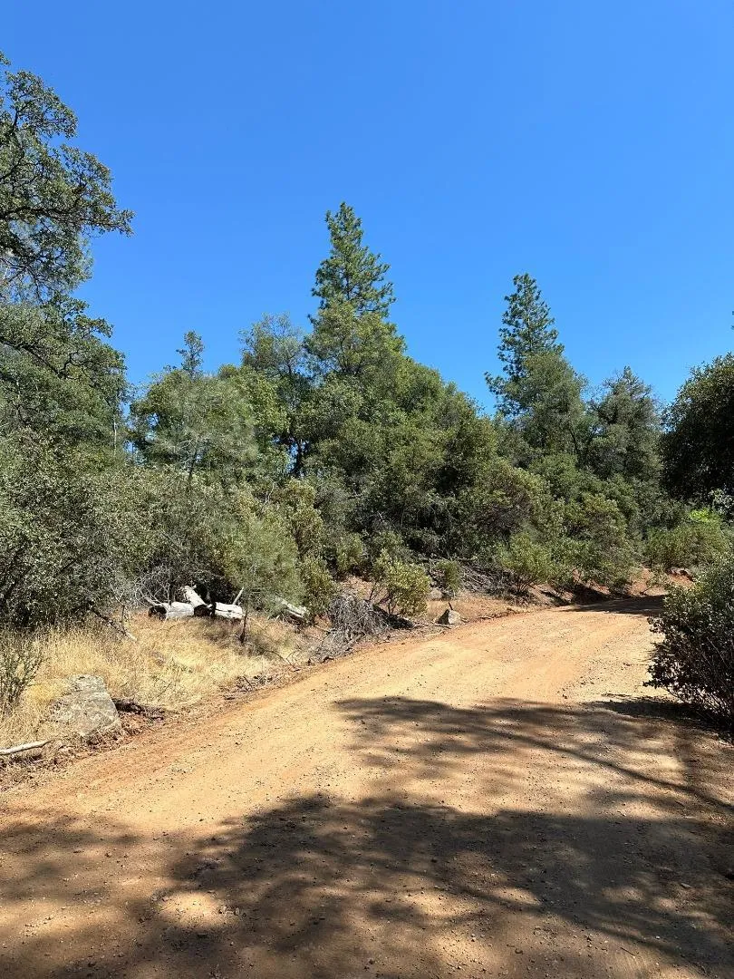 W Laikam Lane Twain Harte, CA 95383