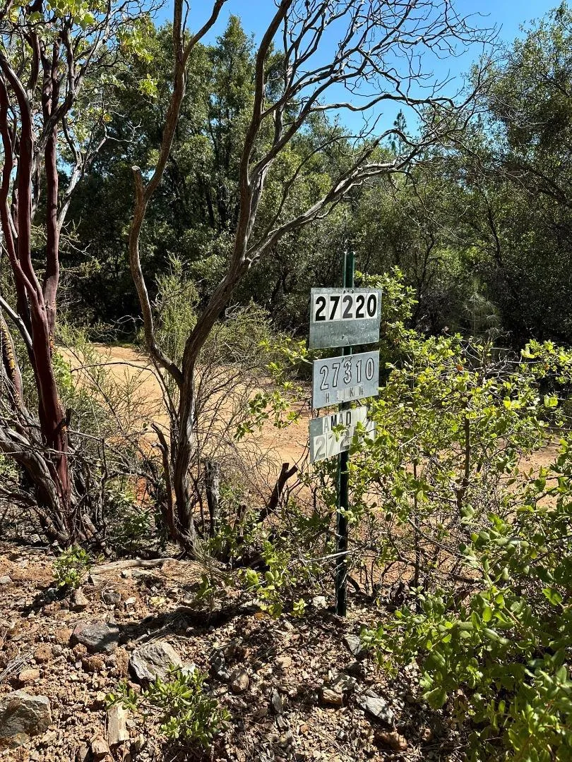 W Laikam Lane Twain Harte, CA 95383