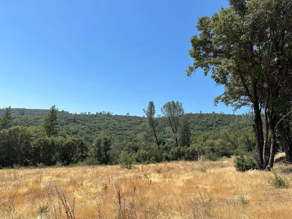 W Laikam Lane Twain Harte, CA 95383