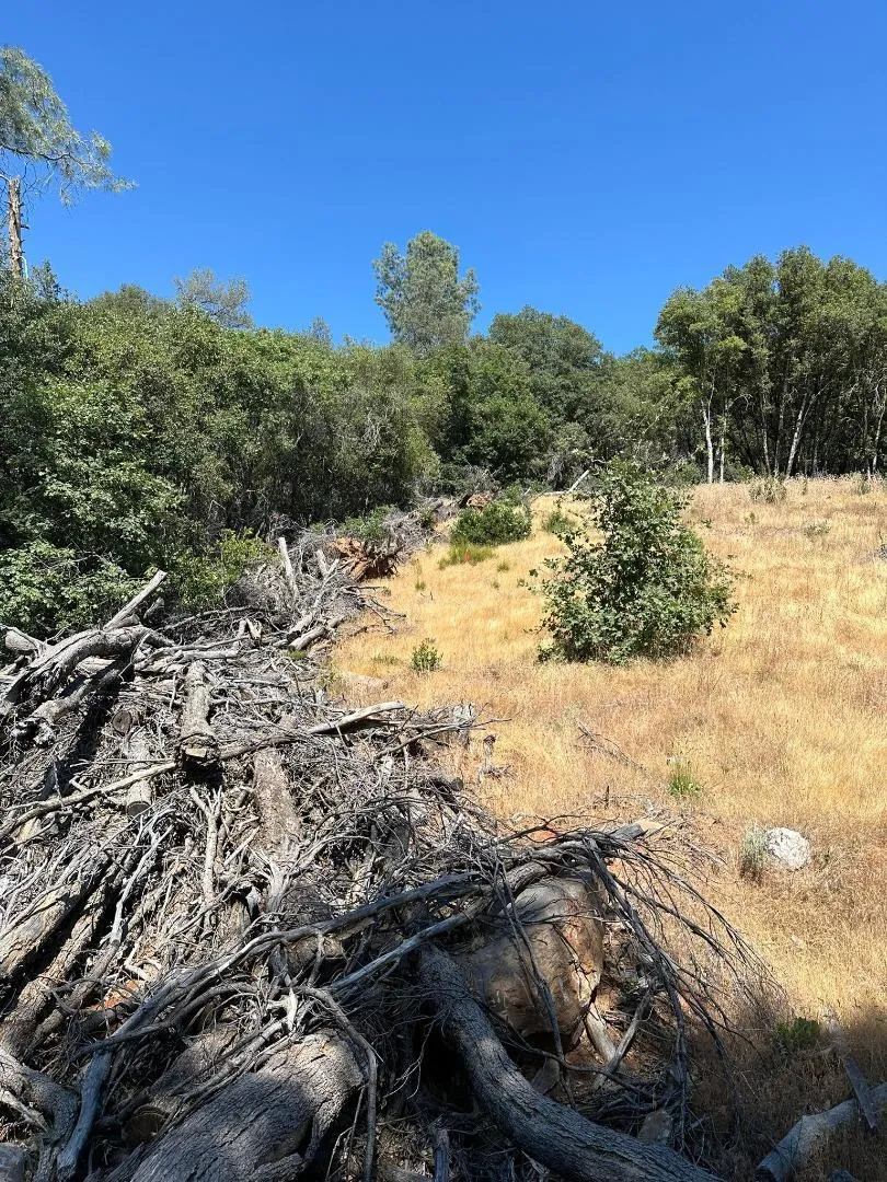W Laikam Lane Twain Harte, CA 95383