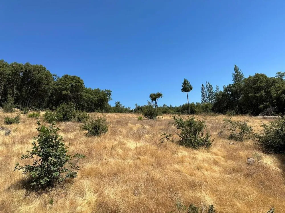 W Laikam Lane Twain Harte, CA 95383