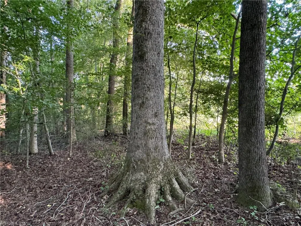 0 Candy Creek Road Reidsville, NC 27320