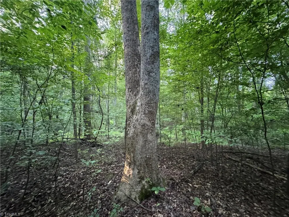 0 Candy Creek Road Reidsville, NC 27320