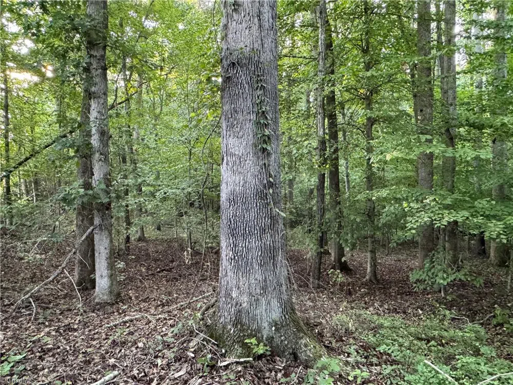 0 Candy Creek Road Reidsville, NC 27320