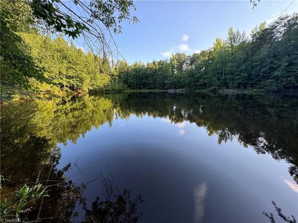 0 Candy Creek Road Reidsville, NC 27320