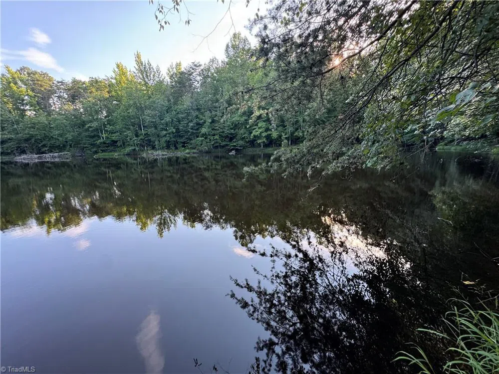 0 Candy Creek Road Reidsville, NC 27320
