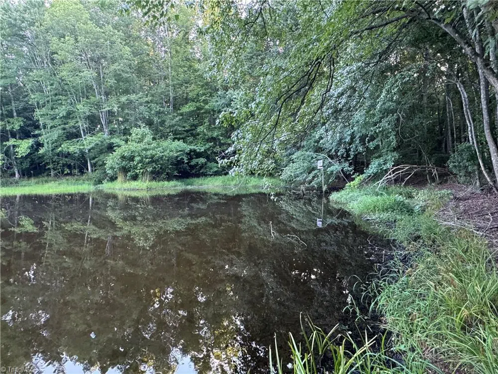 0 Candy Creek Road Reidsville, NC 27320