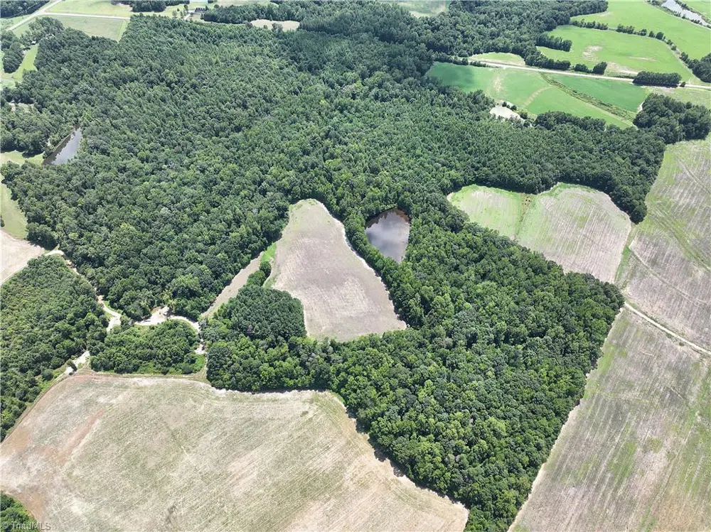 0 Candy Creek Road Reidsville, NC 27320
