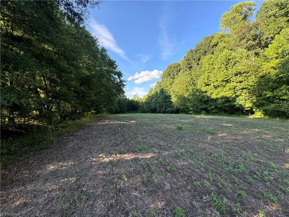 0 Candy Creek Road Reidsville, NC 27320