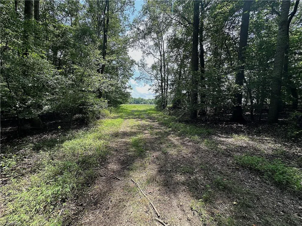 0 Candy Creek Road Reidsville, NC 27320