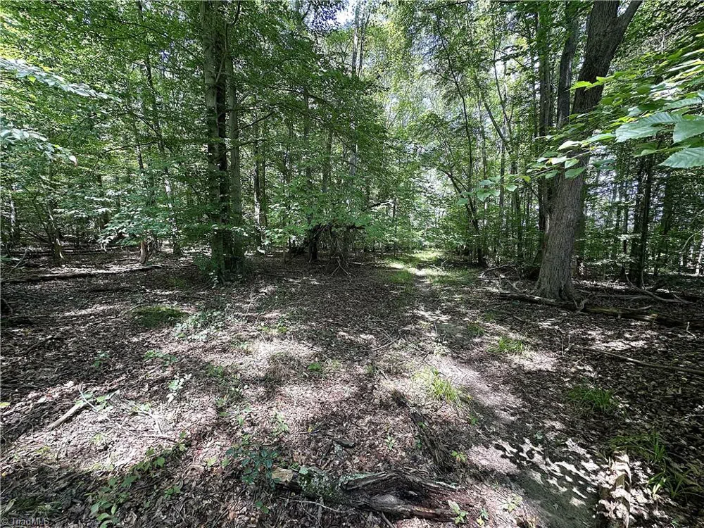 0 Candy Creek Road Reidsville, NC 27320