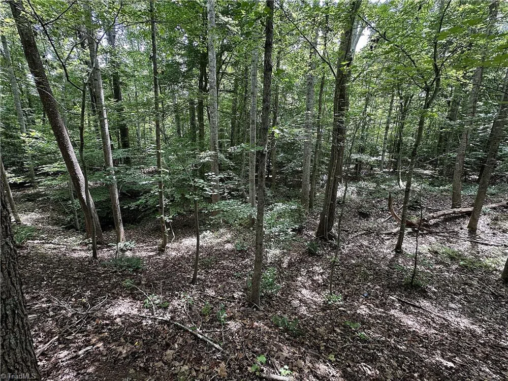 0 Candy Creek Road Reidsville, NC 27320