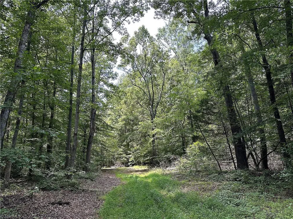 0 Candy Creek Road Reidsville, NC 27320