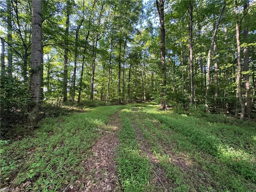 0 Candy Creek Road Reidsville, NC 27320
