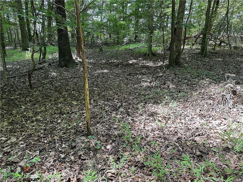 0 Candy Creek Road Reidsville, NC 27320